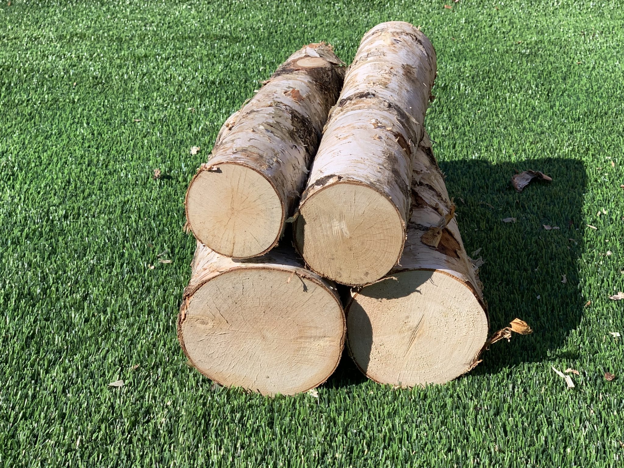 birch wood logs birch wood logs