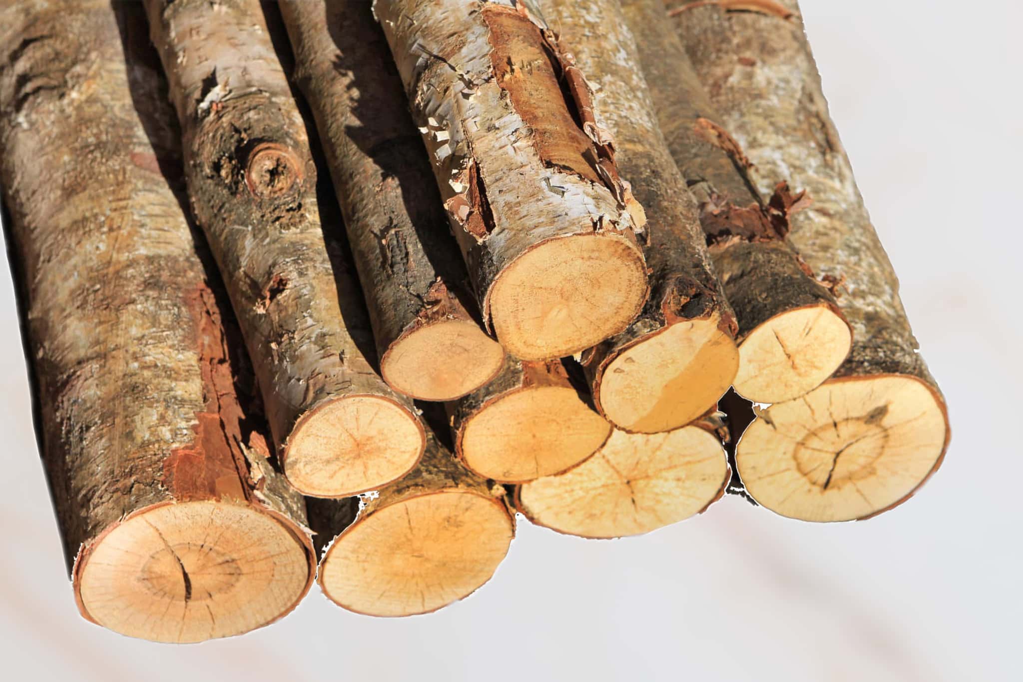 Round Log Bundles - Premier Firewood Company