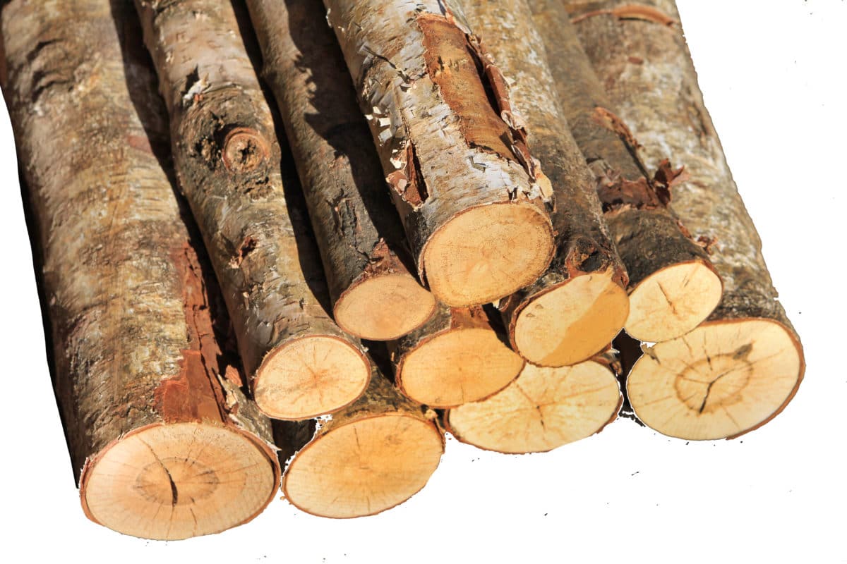 The Essentials of a Wood Fire Tinder, Kindling, Fuel Premier