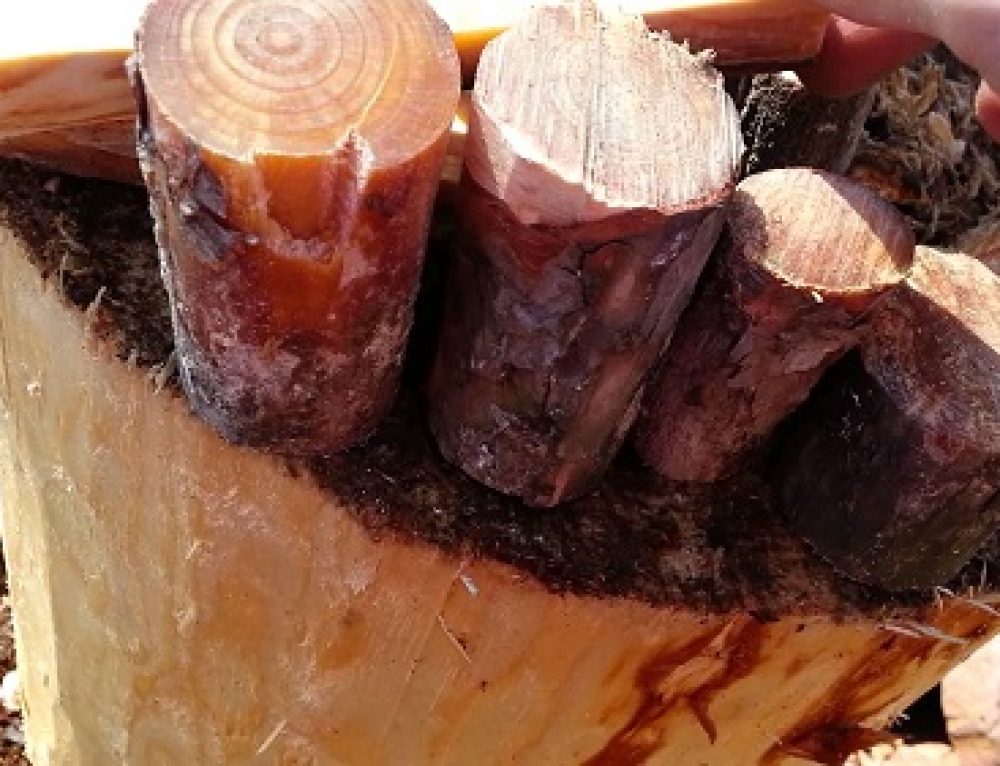 The Essentials of a Wood Fire Tinder, Kindling, Fuel Premier